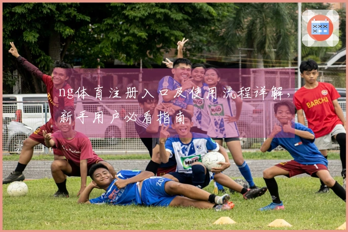ng体育注册入口及使用流程详解,新手用户必看指南