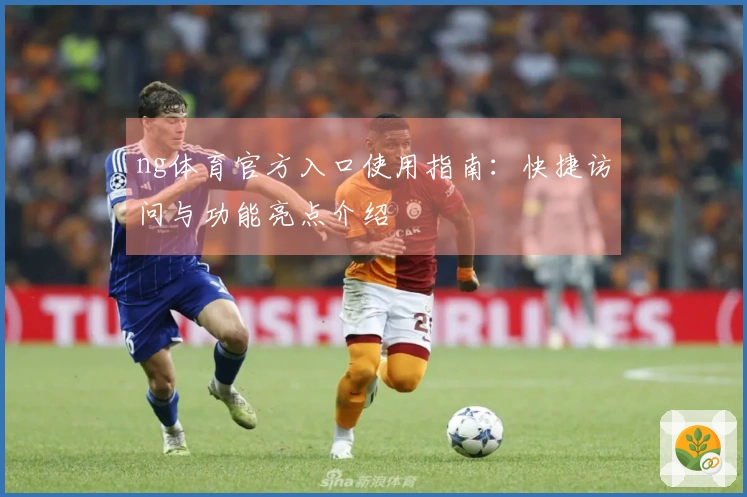ng体育官方入口使用指南：快捷访问与功能亮点介绍