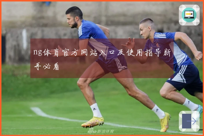 ng体育官方网站入口及使用指导新手必看