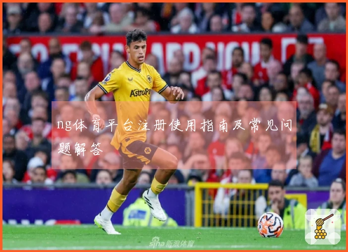 ng体育平台注册使用指南及常见问题解答