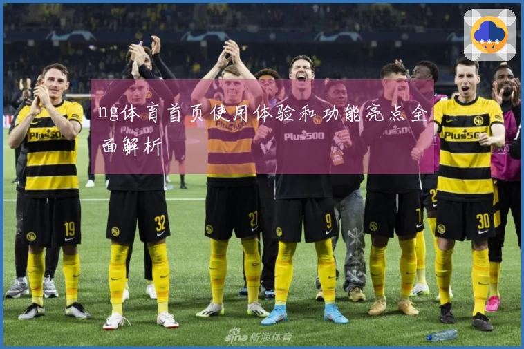 ng体育首页使用体验和功能亮点全面解析