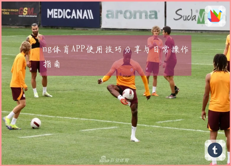 ng体育APP使用技巧分享与日常操作指南