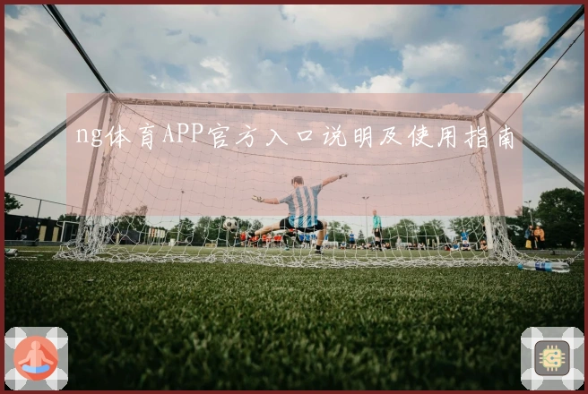 ng体育APP官方入口说明及使用指南