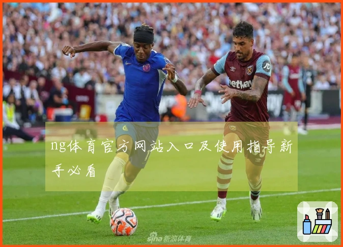 ng体育官方网站入口及使用指导新手必看