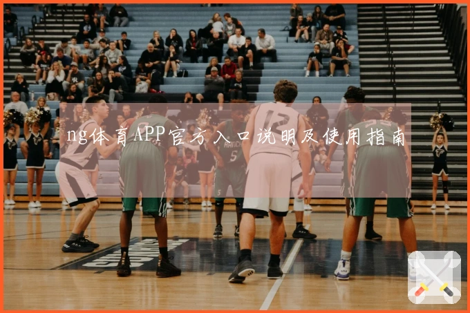 ng体育APP官方入口说明及使用指南