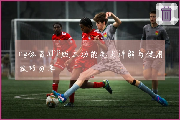 ng体育APP版本功能亮点详解与使用技巧分享