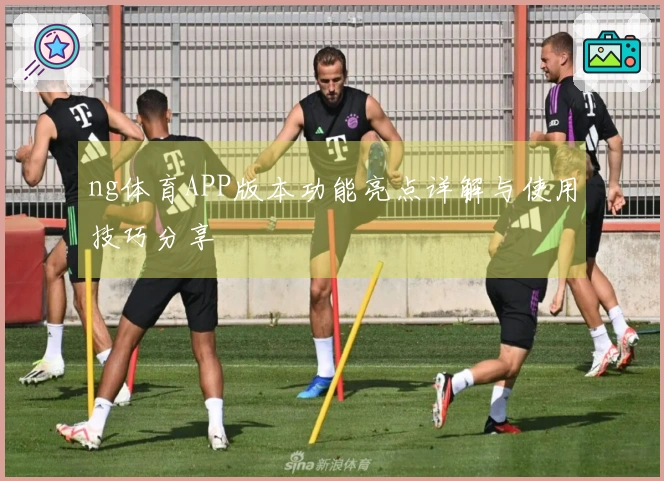 ng体育APP版本功能亮点详解与使用技巧分享